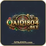 Qaide804 Bet