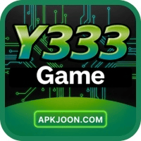 Y333 Game