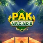 PAK Arcade Game
