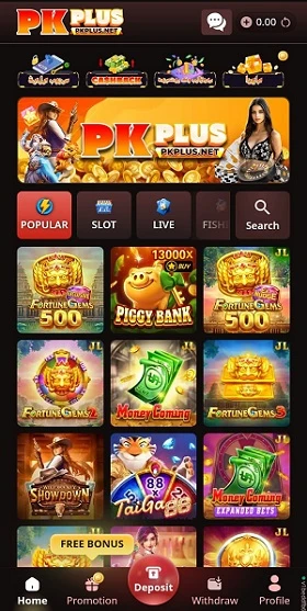 PK PLUS Game